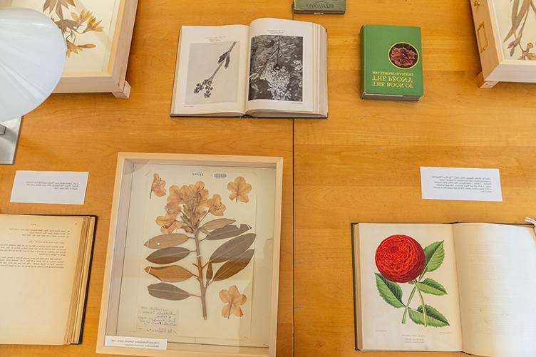 Table view of volumes in botanical book collection