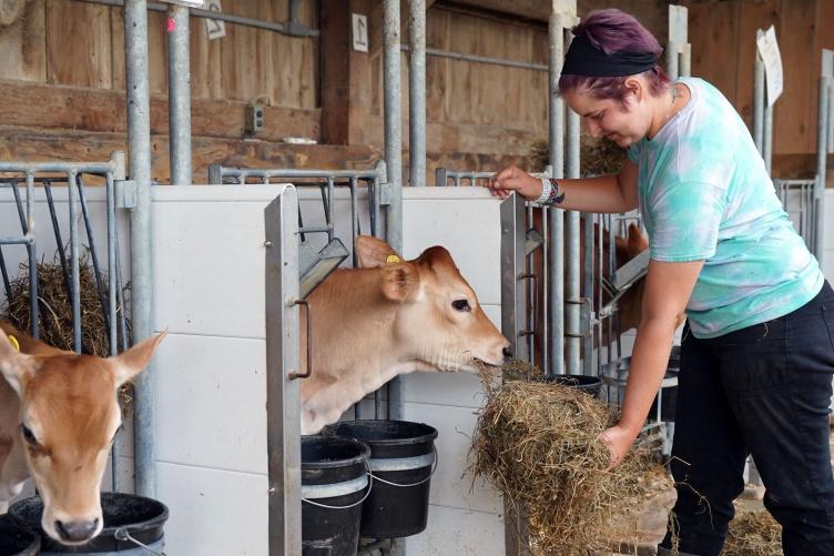Gillian Newbold feeds calves at the UNH Organic Dairy Research Farm.